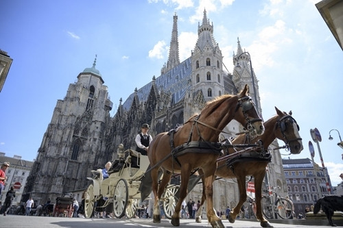 Vienna vẫn là thành phố đáng sống nhất thế giới năm 2019