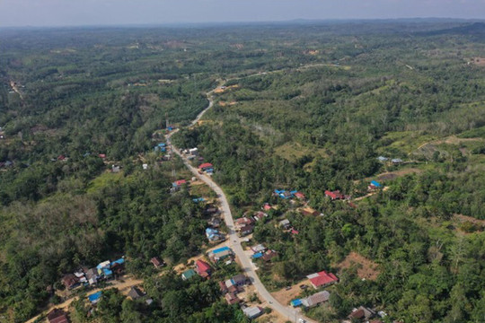 Hệ lụy môi trường khi biến “vùng đất ngủ yên” thành thủ đô mới của Indonesia