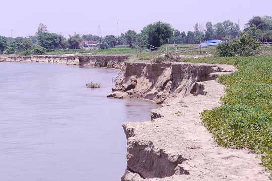 Bình Định: Tập đoàn Phúc Lộc khai thác cát gây sạt lở hoa màu, không chịu bồi thường