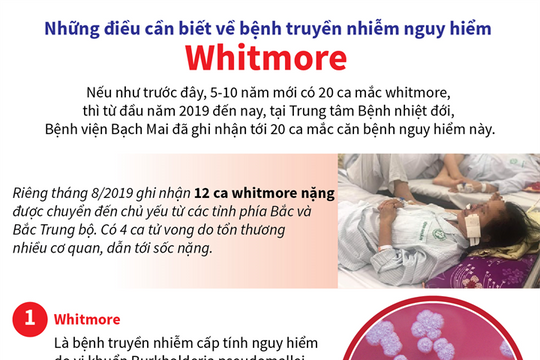 [Infographic] Những điều cần biết về bệnh truyền nhiễm nguy hiểm Whitmore