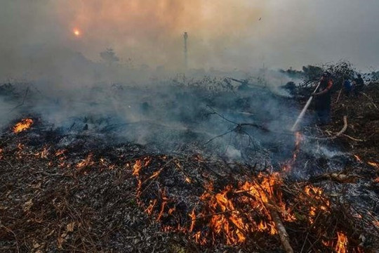Indonesia: Cháy rừng gây lo ngại làm tăng nhiệt độ toàn cầu