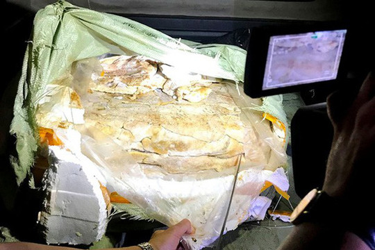 Lạng Sơn: Thu giữ 4 tạ nầm lợn nhập lậu không đảm bảo vệ sinh thực phẩm