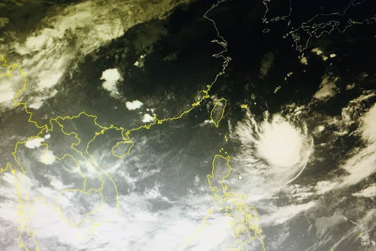 TP. Hồ Chí Minh: Mưa to cả đêm, gió giật, sóng biển cao 2-3m