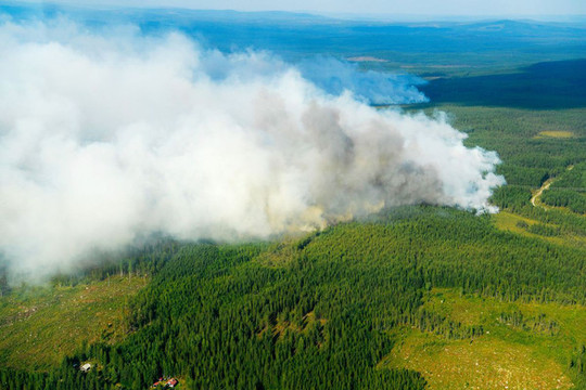 Báo động: Thảm họa cháy rừng đã lan tới… Bắc Cực