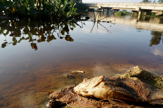 Hà Tĩnh: Nước sông ô nhiễm, hơn 4.000 hộ dân thiếu nước sạch