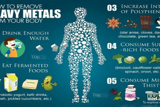 Cách giải độc kim loại nặng trong cơ thể bằng thực phẩm