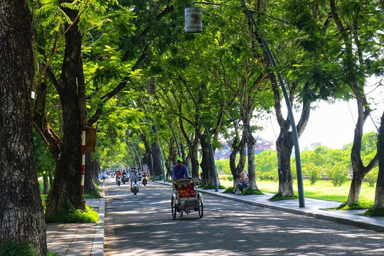 Những con đường rợp bóng cây xanh trong lòng Cố đô Huế