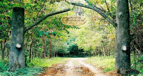 Lâm Đồng: Chung tay giữ màu xanh của những cánh rừng