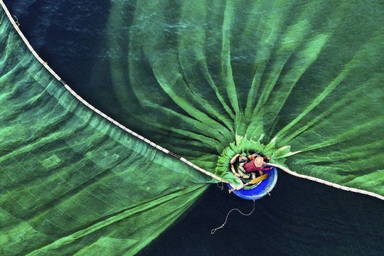 Việt Nam đoạt giải nhất cuộc thi ảnh Bảo tồn thiên nhiên thế giới 2019