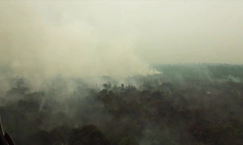 Indonesia: Khói cháy rừng bao phủ bầu trời