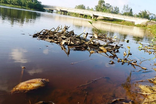 Hà Tĩnh: Sông Già ô nhiễm, hơn 4.000 hộ dân bị “cắt” nước sạch