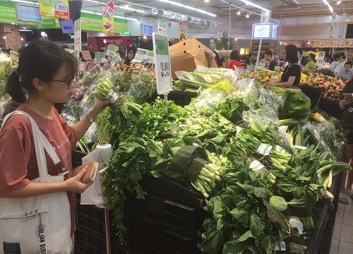 Hà Nội: Ngừng cấp kinh phí mua sắm sản phẩm nhựa dùng một lần