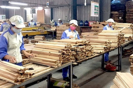 128 quốc gia nhập khẩu gỗ và lâm sản của Việt Nam