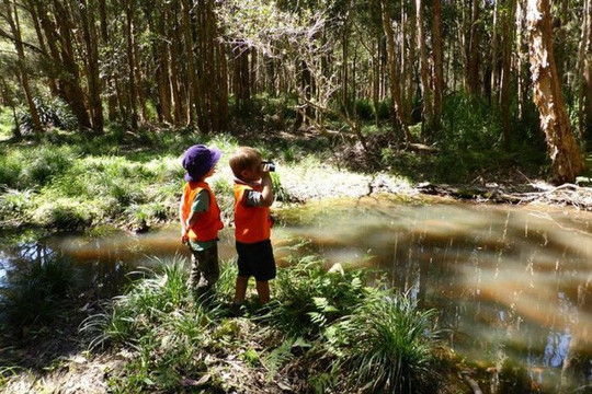 Ngôi trường ở Úc tiên phong “giáo dục trong rừng” trải nghiệm với tự nhiên