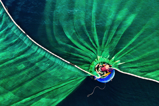Ảnh ngư dân ở Hòn Yến đạt giải nhất cuộc thi ảnh Bảo tồn thiên nhiên thế giới 2019