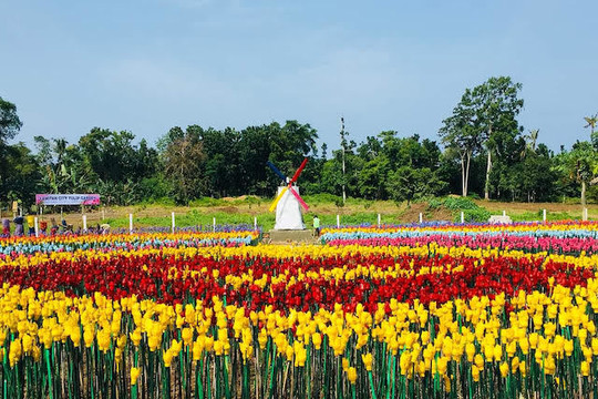 Philippines: Rực rỡ vườn hoa tulip làm từ rác thải nhựa