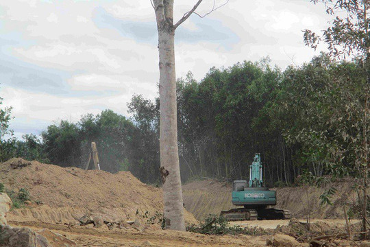 Bình Định: Điều tra doanh nghiệp có hành vi khai thác đất trái phép