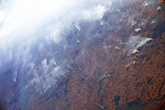 Rừng Amazon vẫn đang cháy tương đương với tốc độ 110 sân bóng mỗi giờ