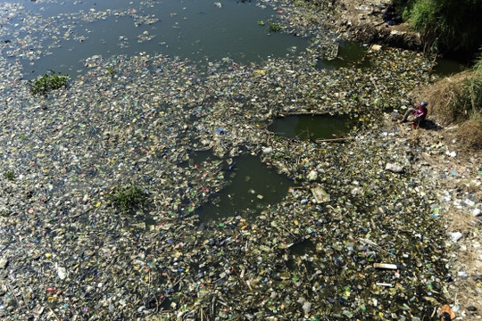 Mỹ: Khoảng 11.000 tỷ hạt nhựa siêu nhỏ xâm chiếm vịnh San Francisco