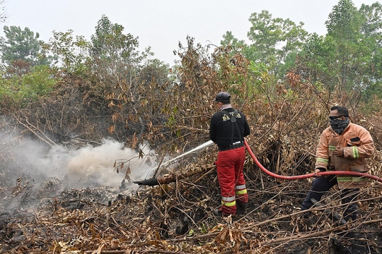 Indonesia nỗ lực đối phó với khói bụi độc hại