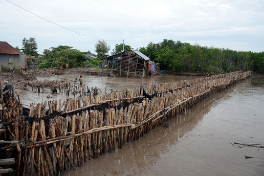 Kiên Giang: Cần hơn 1.600 tỉ đồng để chống sạt lở bờ biển