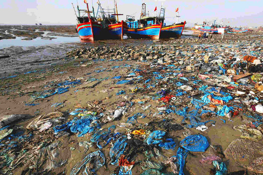 Rác thải nhựa là hiểm họa mang tính toàn cầu đối với môi trường