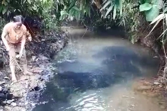Lãnh đạo Công ty nước sạch sông Đà lên tiếng về việc bị đổ dầu xuống đầu nguồn nước?