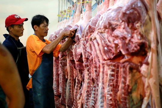 Thiếu hụt nguồn cung, Việt Nam tính phương án nhập khẩu thịt lợn