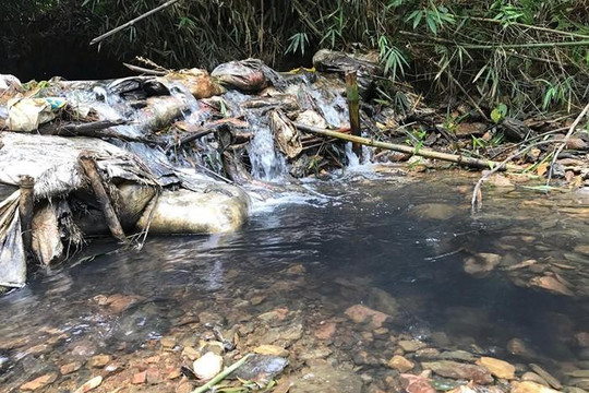 Vụ nước sông Đà nhiễm dầu: Ðề xuất quan trắc độc tố tại đầu nguồn