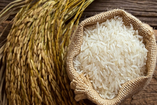 Philippines: Dự kiến năm 2020 giảm nhập khẩu gạo