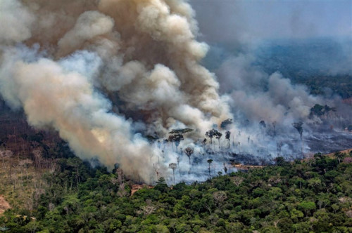 Điều gì sẽ xảy ra nếu rừng Amazon bị cháy rụi hoàn toàn?
