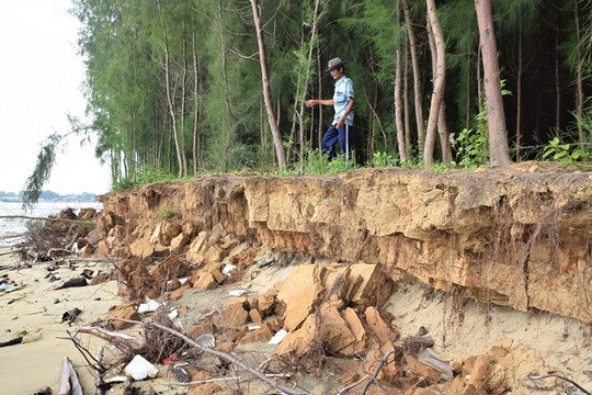 Quảng Nam: Giải pháp chống sạt lở khẩn cấp, bảo vệ bờ biển Hội An