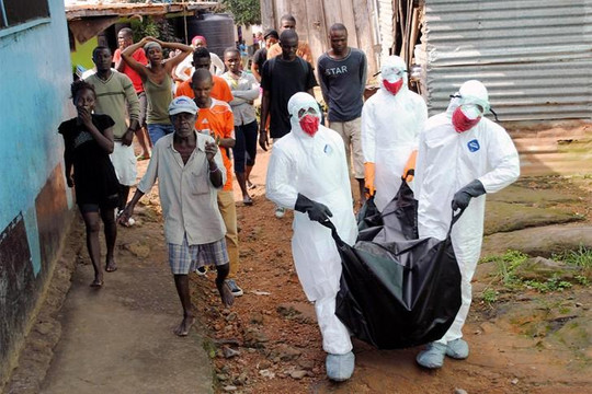 Dịch Ebola lây lan khắp thế giới vì biến đổi khí hậu