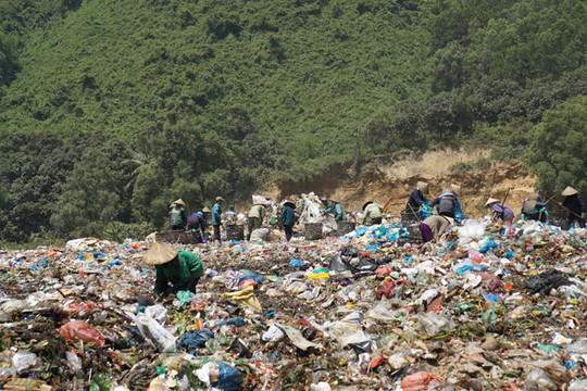 Đà Nẵng: Giảm 50% lượng rác và mỡ thải ra biển gây ô nhiễm