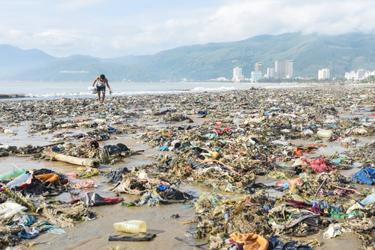 Bình Định: Bờ biển Quy Nhơn ngập rác sau bão số 5