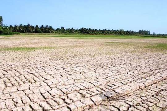 Cảnh báo hạn hán nghiêm trọng trong mùa khô 2019 – 2020