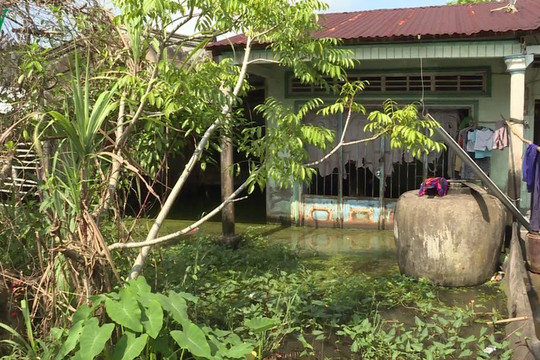 Kiên Giang: Khu dân cư vượt lũ nhưng thường xuyên ngập nước