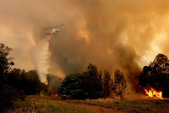 Australia ban bố tình trạng khẩn cấp cháy rừng nghiêm trọng