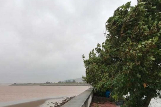 Việt Nam còn đón bao nhiêu cơn bão trong năm 2019?