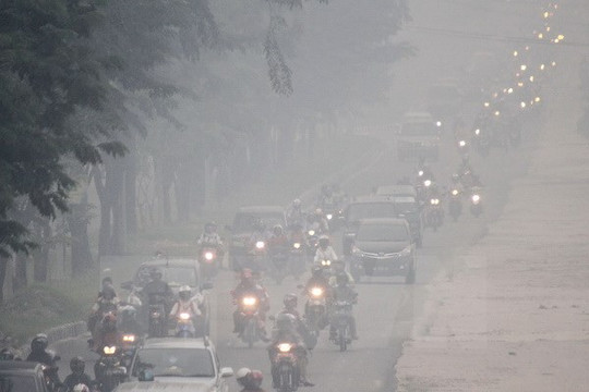 EU hỗ trợ ASEAN sử dụng bền vững đất than bùn và giảm khói mù
