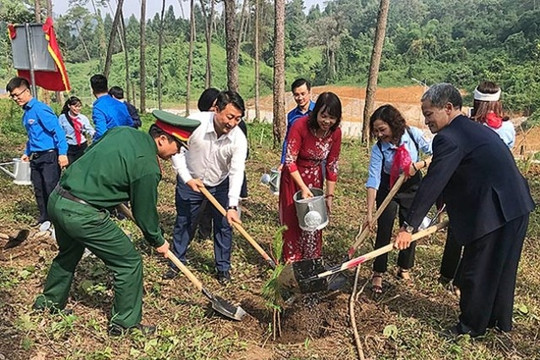 Hà Nội: Nhà giáo trẻ tiêu biểu trồng 500 cây tại “Rừng cây măng non”