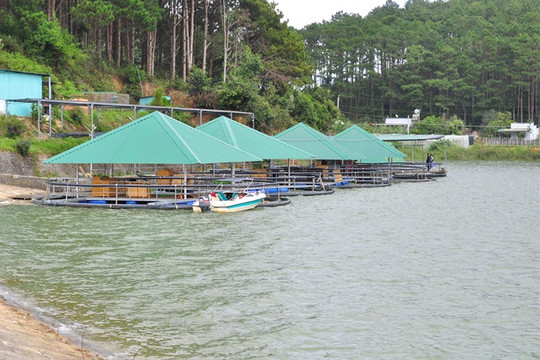 Lâm Đồng: Quản lý và đảm bảo an toàn các công trình thủy lợi