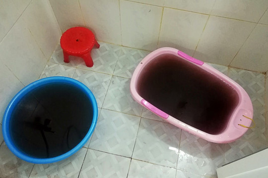 Nha Trang: Hàng trăm hộ dân hoảng hốt khi nước sinh hoạt bỗng đen ngòm như cà phê