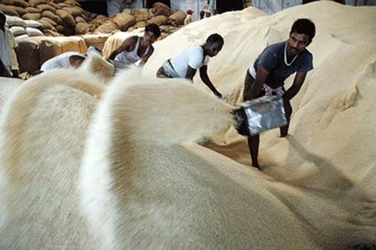 Tổng thống Philippines tuyên bố lệnh ngừng nhập khẩu gạo