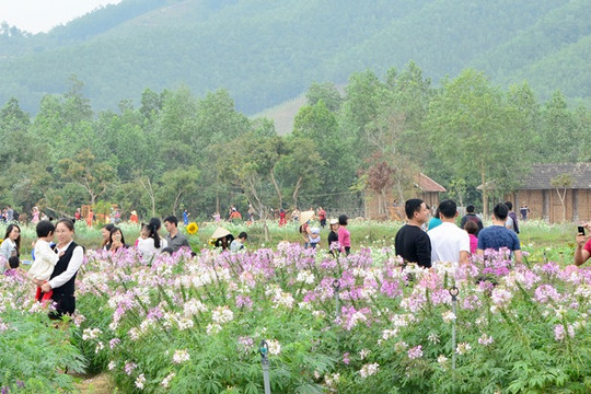 Hiệu quả từ hợp tác xã du lịch-nông nghiệp sinh thái tỉnh Quảng Ninh