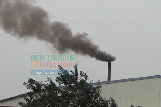 Thuận Thành (Bắc Ninh) – Bài 1: xưởng sản xuất gỗ ván ép xả thải “bức tử” môi trường, người dân kêu cứu