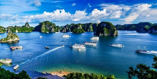 Quảng Ninh: Xem xét thành lập khu rừng đặc dụng bảo vệ vịnh Hạ Long