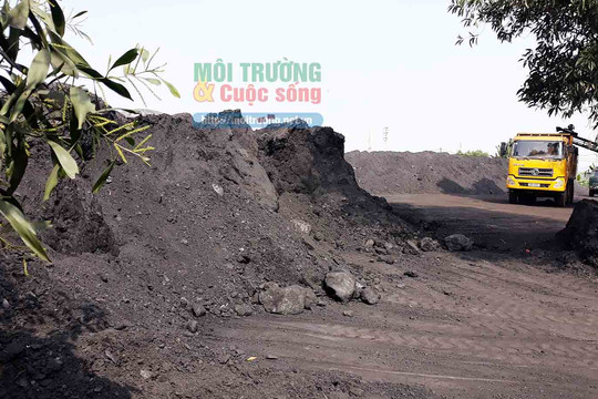 Lạng Giang (Bắc Giang): Tại sao Bãi tập kết than gây ô nhiễm môi trường không bị đình chỉ hoạt động?