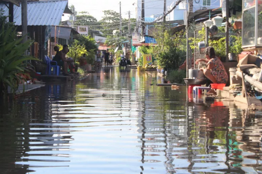 Bạc Liêu: Triều cường dâng cao đã gây ngập lụt tại nhiều nơi