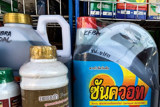 Thái Lan: Thu hồi và hoãn lệnh cấm với 3 hóa chất độc hại trong sản xuất nông nghiệp